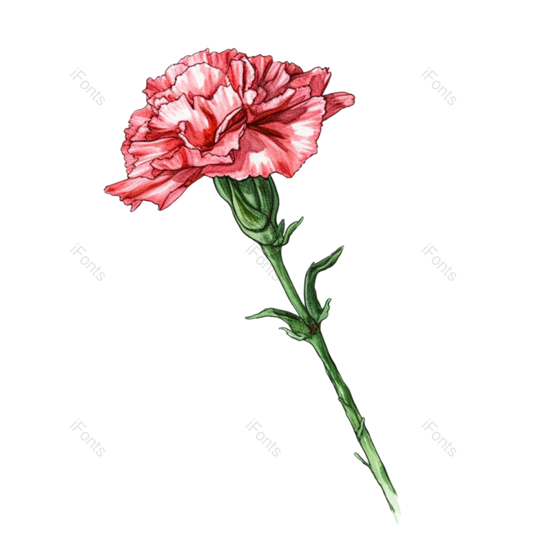 母亲节背景图片,母亲节素材元素,矢量元素PNG,免抠素材